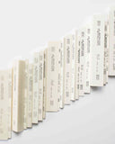 AO Polishing Stone (x12)