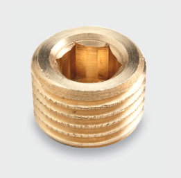 HE2074 BSPT Brass Socket Water Plug